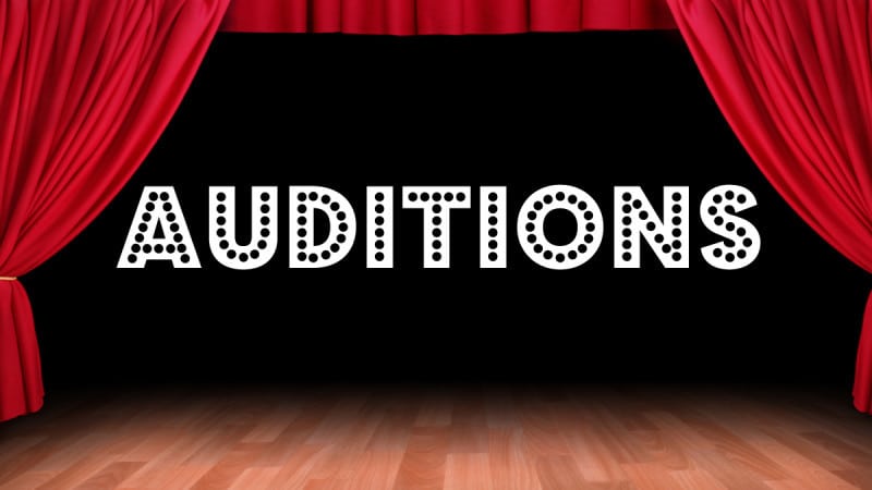 Read more about the article Stage Coach Players’ 2022 Season Auditions to Take Place Friday – Sunday, March 11 -13, 2022